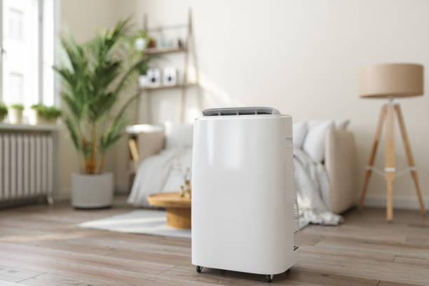 Best Ductless HVAC Repair  in Viola, NY